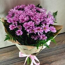 Букет цветов из:  Хризантемы #REPLACE_PRED# Малое Карасево