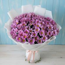 Букет цветов из:  Хризантемы в Малое Карасево