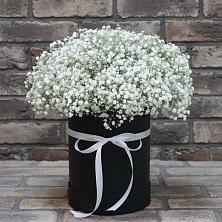 Цветочная композиция из Гипсофила в шляпной коробке в Малое Карасево